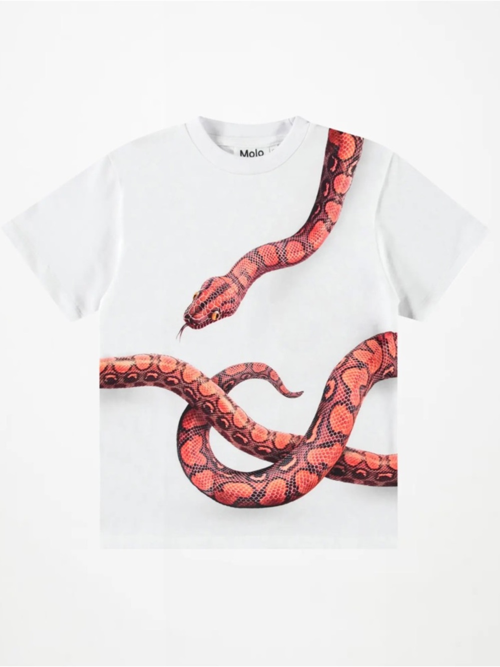 Molo, Rubin Red Snakes T-Shirt 🐍